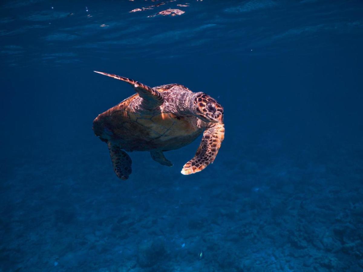 Wow Inn Keyodhoo Keyodhoo  Eksteriør billede