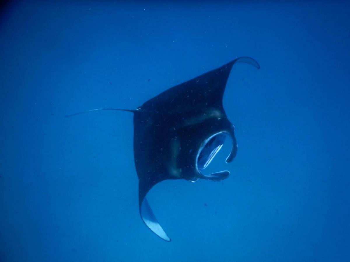 Wow Inn Keyodhoo Keyodhoo  Eksteriør billede